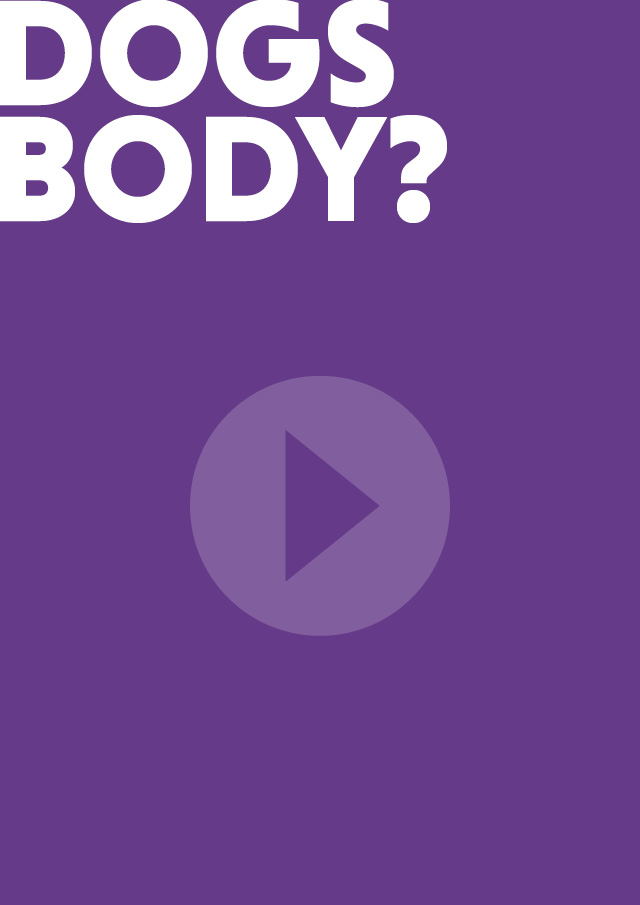 Dogs body video