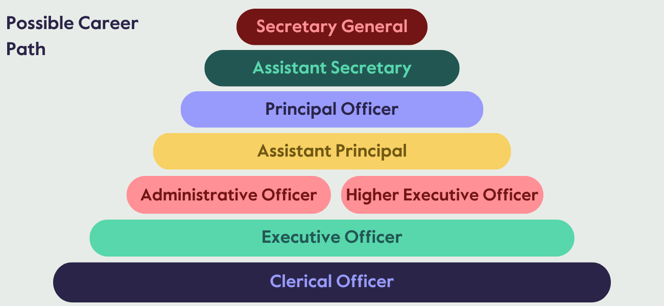 graph of career path